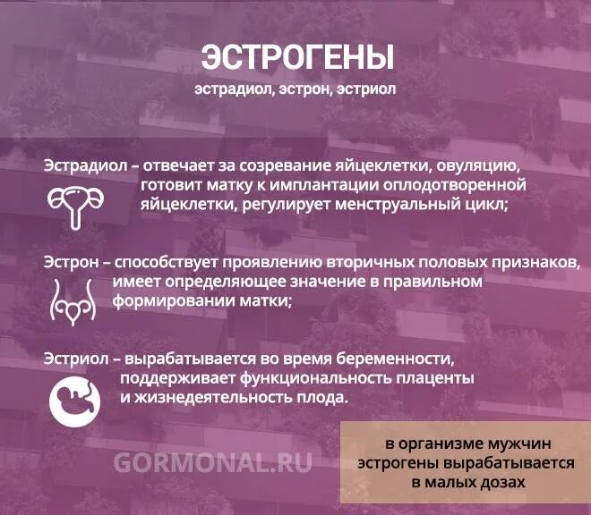 Повышен половой гормон у женщин. Эстроген эстрадиол эстрон. Эстроген за что отвечает. Эстрогены женские. Эстрогены эффекты в организме.