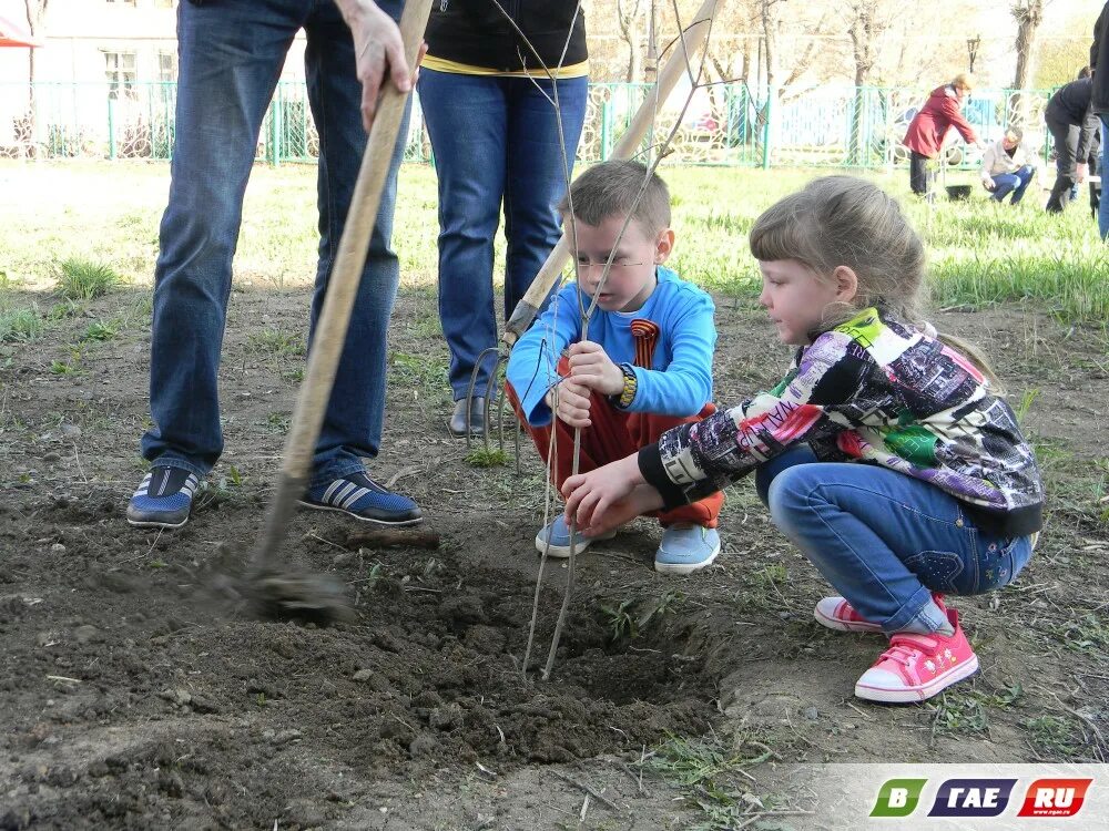 Посадка деревьев в доу. Дети садят деревья. посадка деревьев в детском саду. школьники сажают деревья. сажание деревьев с детьми.