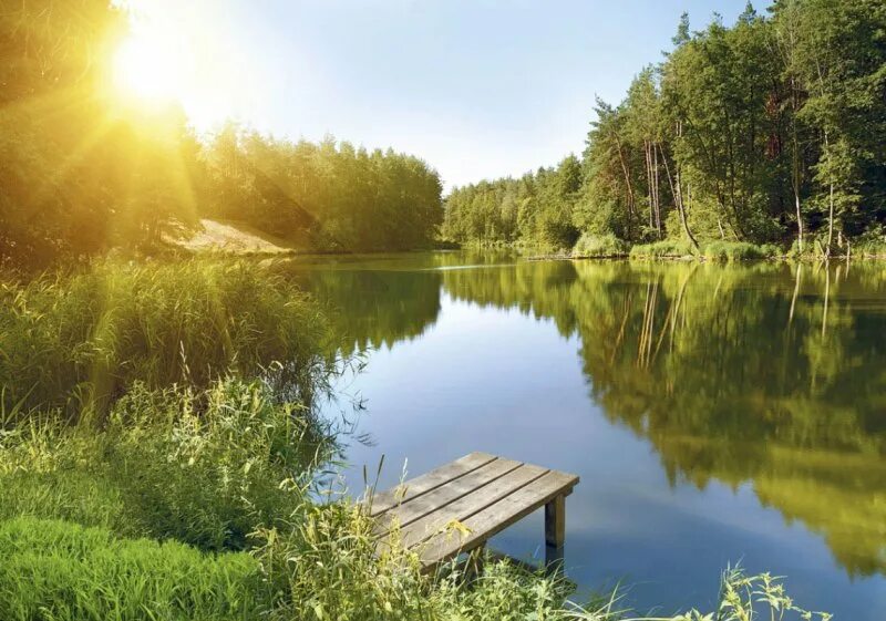 Доброе утро город. Поздравление с добрым утром. Открытки с добрым утром четверга красивые. Доброе утро пейзаж с надписью. Доброе утро ромашки.