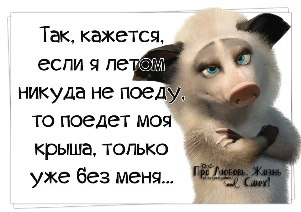 Никуда не пой. Отпуск картинки прикольные. Цитаты про крышу. Статусы про отпуск. Крыша едет статус.