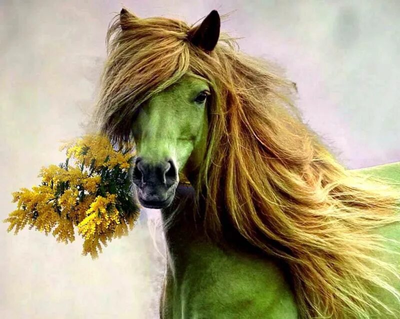 Зеленую лошадку. Зеленая лошадь. Лошадь с зеленой гривой. Лошадка с зеленым оттенком. Зеленая древесная лошадь.