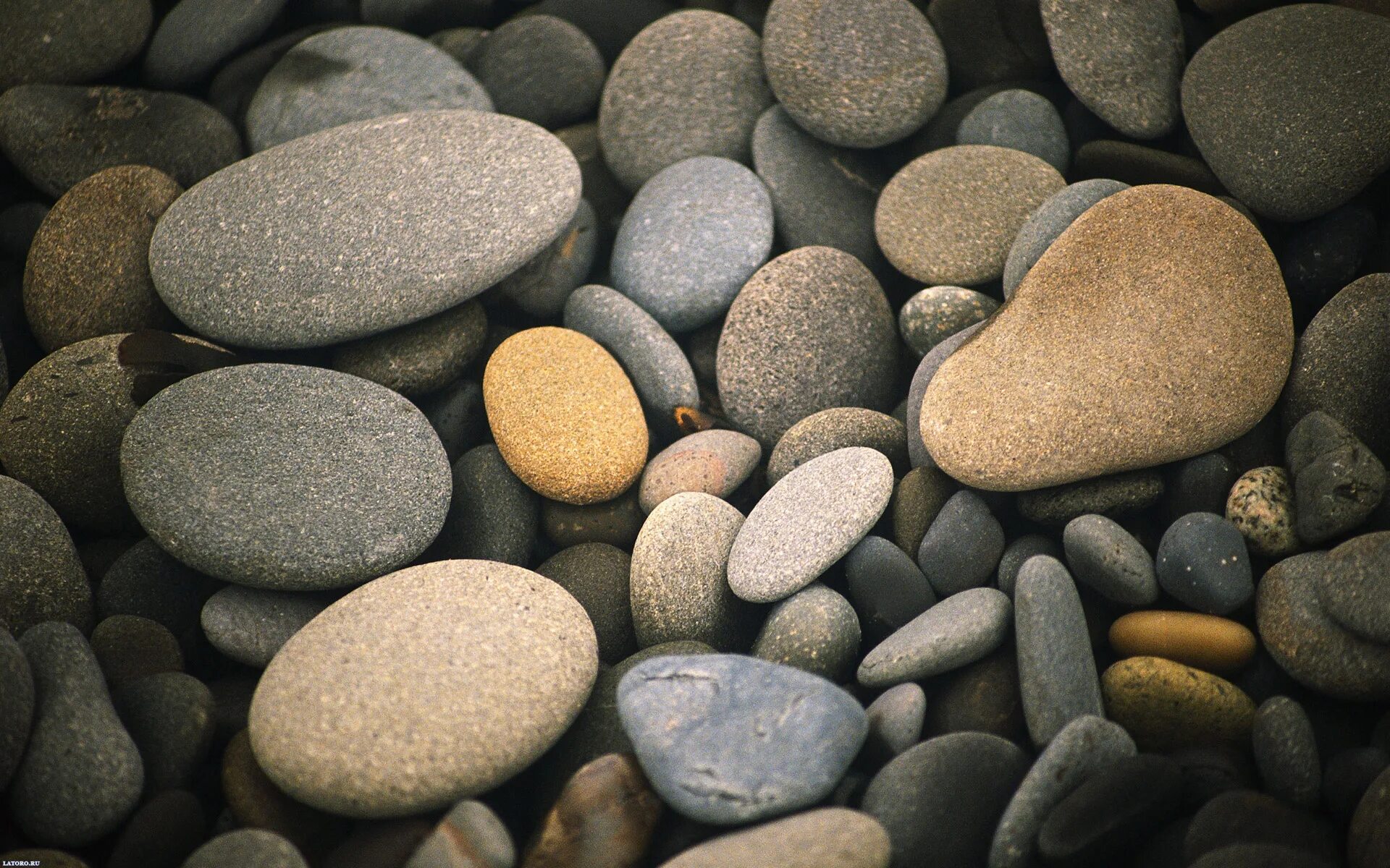 Подводные камни 6 букв. Красивые камушки. Галька Речная. Морские камни. Красивые морские камни.