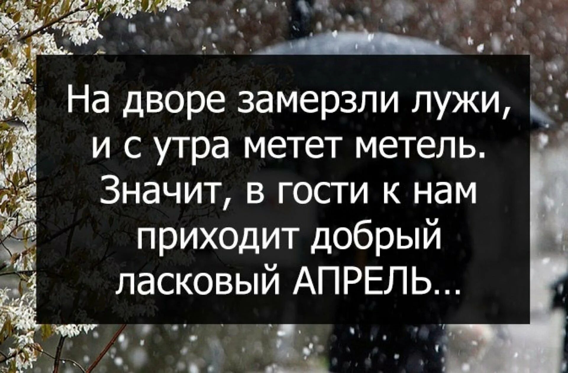 Опять метель какого ведь. Опять метель какого ведь