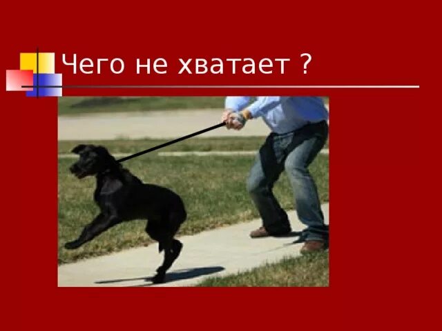 Конкурс чего не хватает на картинке. Что не хватает на картинке где логика. Игра где логика чего не хватает. Игра чего не хватает на картинке где логика.