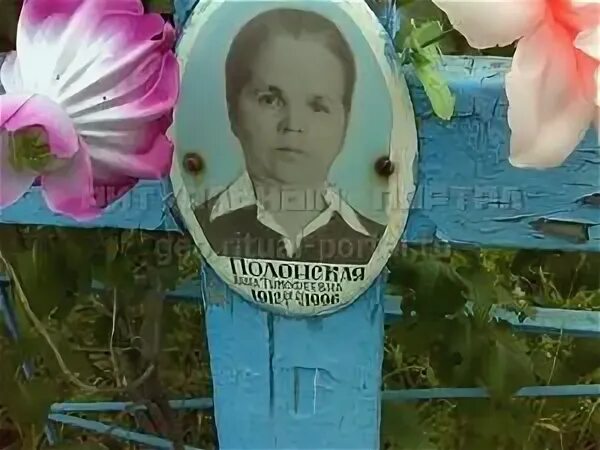 Где тимофеевна