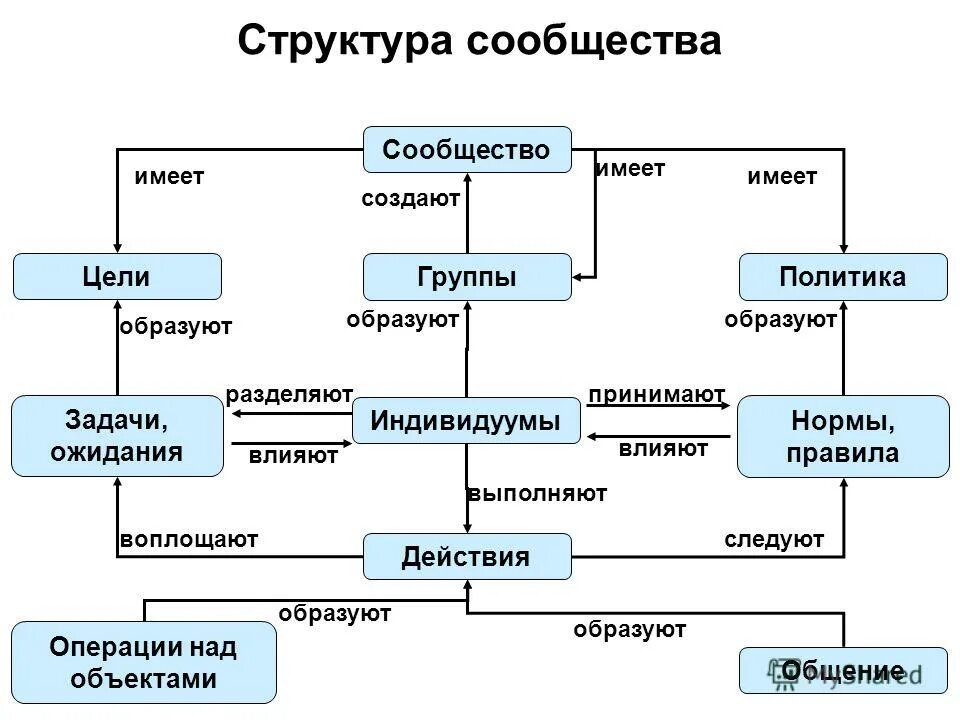 Структура сообщества. Схема структура сообщества. Структура сообщества биология. Структурное сообщество.