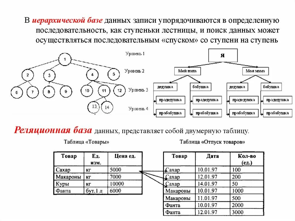 Иерархическая система база данных. Иерархическая модель базы данных. Иерархический Тип базы данных. Преобразование иерархической структуры в БД.