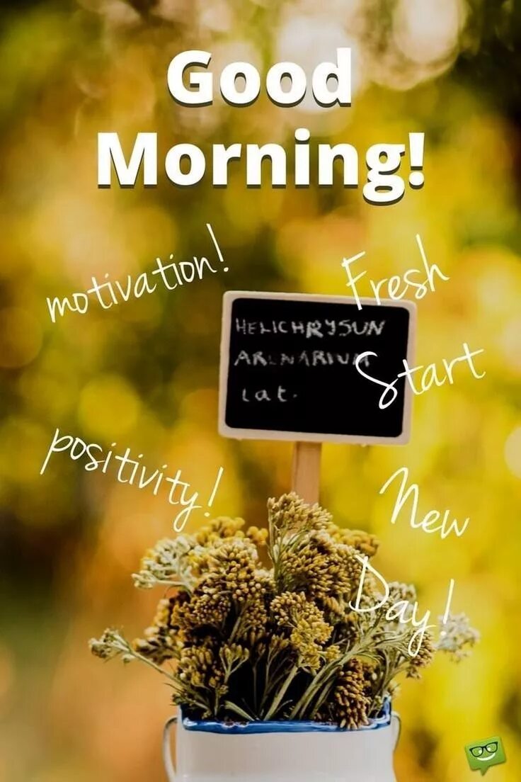 Box good morning. Good morning motivation. good morning quotes. good morning with. good morning картинки.