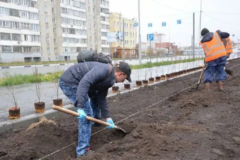 Проведено благоустройство