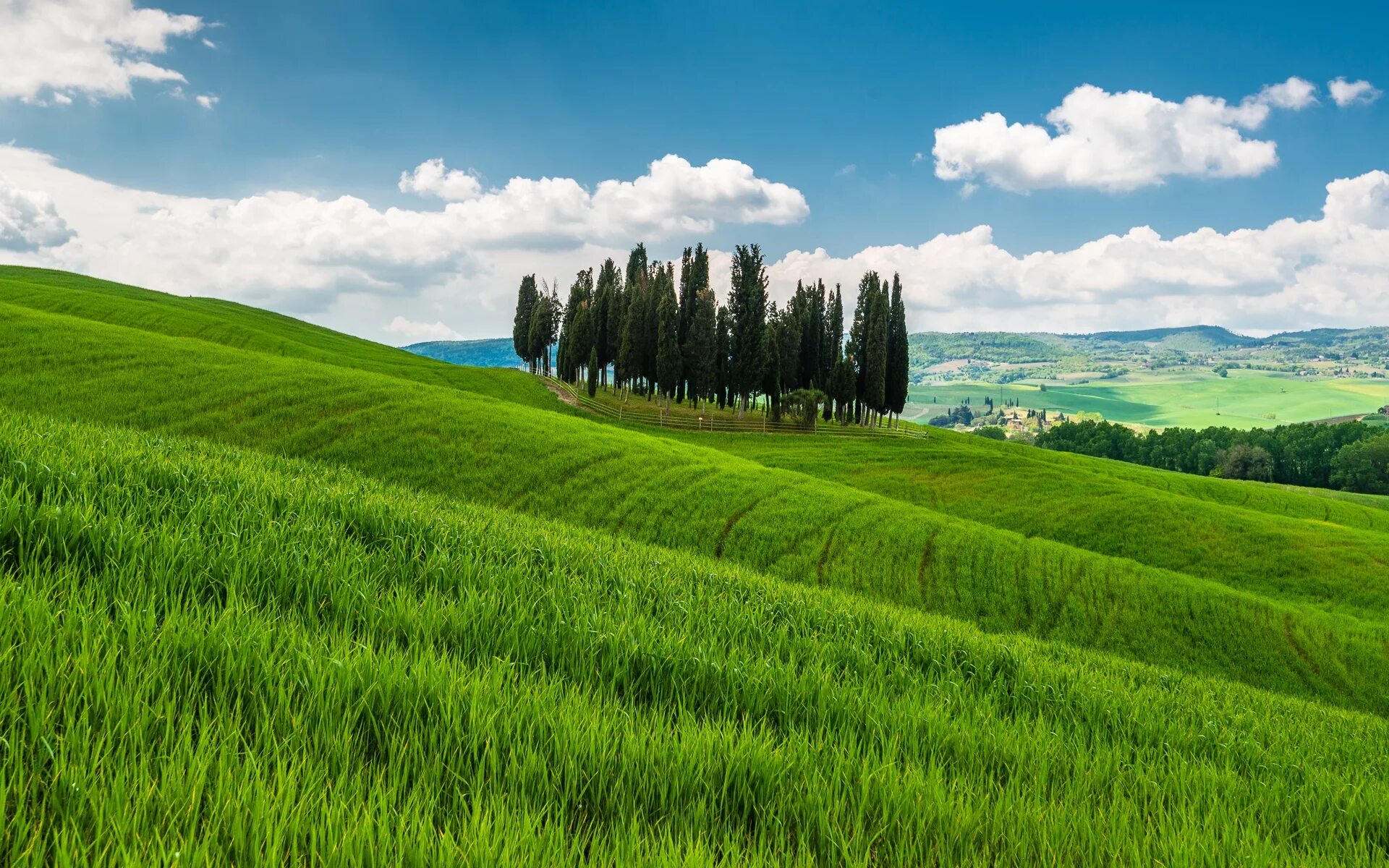 Поле холмы. Тоскана Италия горы. Тоскана Италия Луга. Зеленое поле Тоскана. Тоскана зелень.