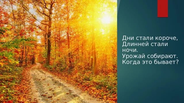 День становится длиннее а ночь короче. День становится короче осенью. Листья с веток облетают птицы к югу улетают. Осенью дни становятся короче а ночи длиннее. Стали дни короче.