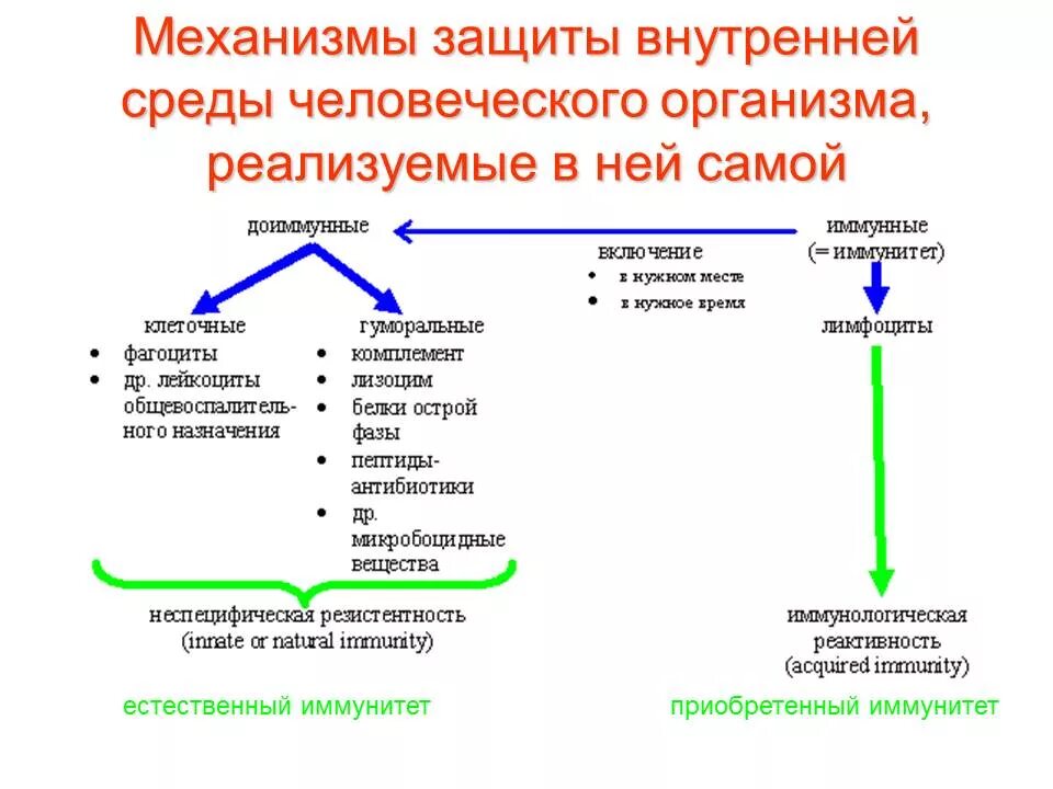 Защита организмов тест. Факторы защиты иммунитета. Механизмы защиты организма. Механизмы защиты в организме человека. Механизмы защиты иммунитета.