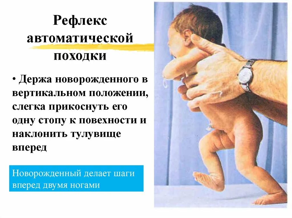Проверка рефлексов. Хватательный рефлекс ребенка до. Проверка рефлексов у новорожденных. Рефлекс опоры у грудничка.