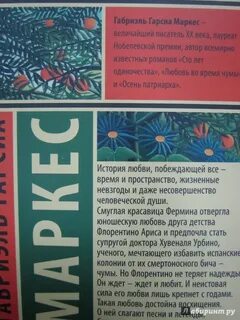Маркес чума
