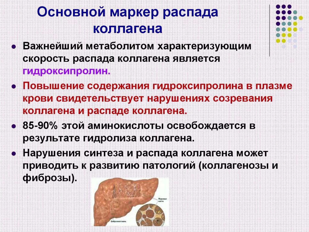 Нарушение коллагена. Показатель скорости распада коллагена. Маркеры распада коллагена. Экскреция оксипролина показатель скорости распада коллагена. Распад коллагена биохимия.