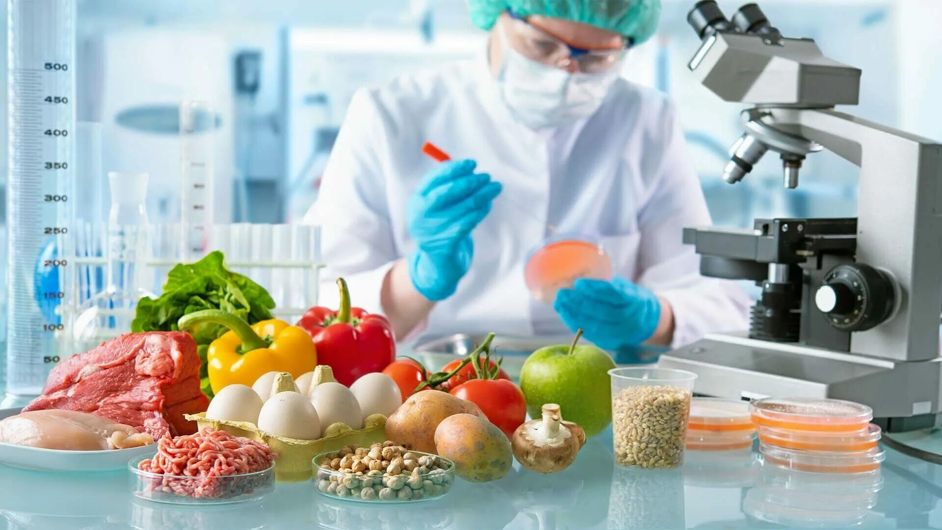 Физические опасные факторы хассп. Безопасность пищевых продуктов. Виды химических опасностей. Физические риски на пищевом предприятии. Машинист холодильных установок.