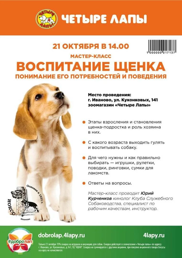 Воспитание собаки. Правила воспитания собаки. Воспитание щенка. Как воспитать щенка.