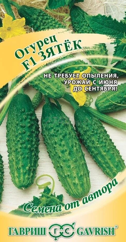 Огурцы гавриш сорта. Семена огурцов гавриш зятек f1. огурец зятек f1 10шт гавриш. сорт огурцов зятек f1. огурец сорта зятек f1.