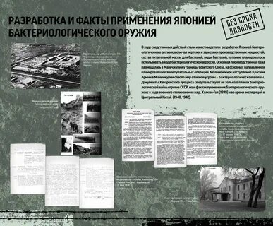 Без срока давности 2022 год