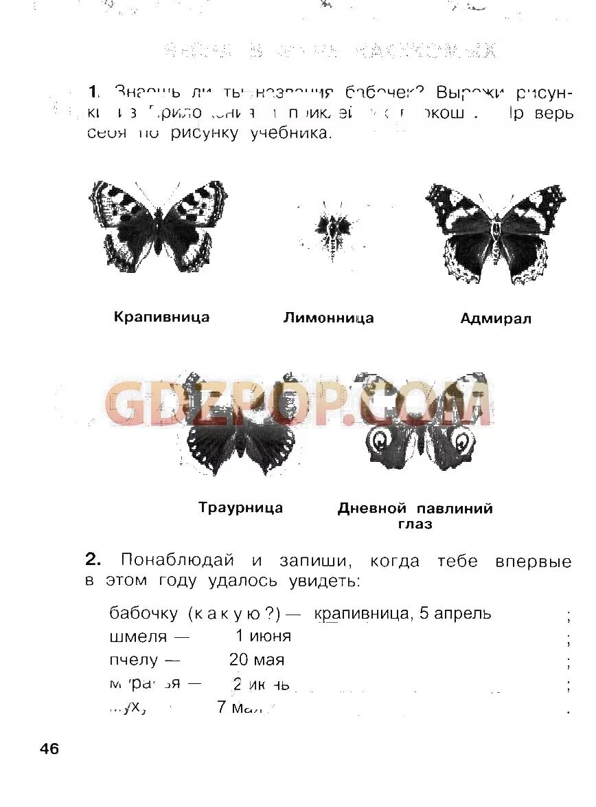 Окр мир стр 57. Окружающий мир 2 класс рабочая тетрадь 2 часть стр 57. Бабочки окружающий мир 2 класс рабочая тетрадь. Окружающий мир 2 класс 2 часть часть страница 57. Окружающий мир 2 класс 2 часть 2 стр 57.