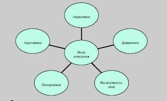 Виды поведения в психологии. Какие бывают виды поведения. Схема поведения человека. Какие типы поведения существуют.