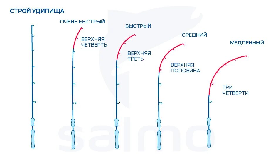 Строй fast. Строй спиннинговых удилищ таблица. Extra fast Строй спиннинга. Полупараболический Строй удилища что это. Строй спиннинговых удилищ таблица жесткости.