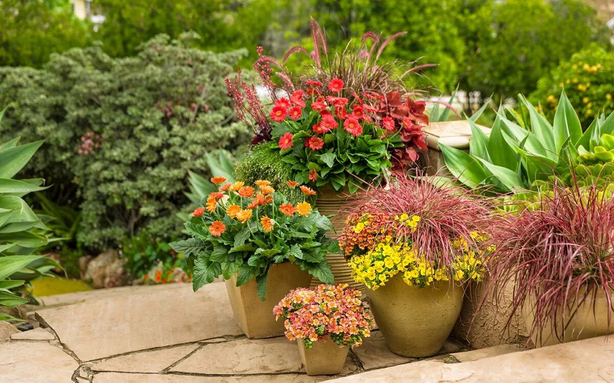 Цветочные композиции на клумбе. Клумбы. Необычные клумбы для цветов. Композиции из цветов в саду. Миниатюрный сад в горшке.