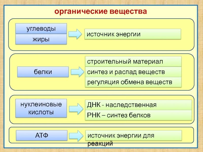 Органическим является. Органические вещества белки жиры углеводы. Какие вещества являются основным источником энергии в клетке?. Органические вещества, являющиеся строительным материалом клетки. Органические вещества углеводы.