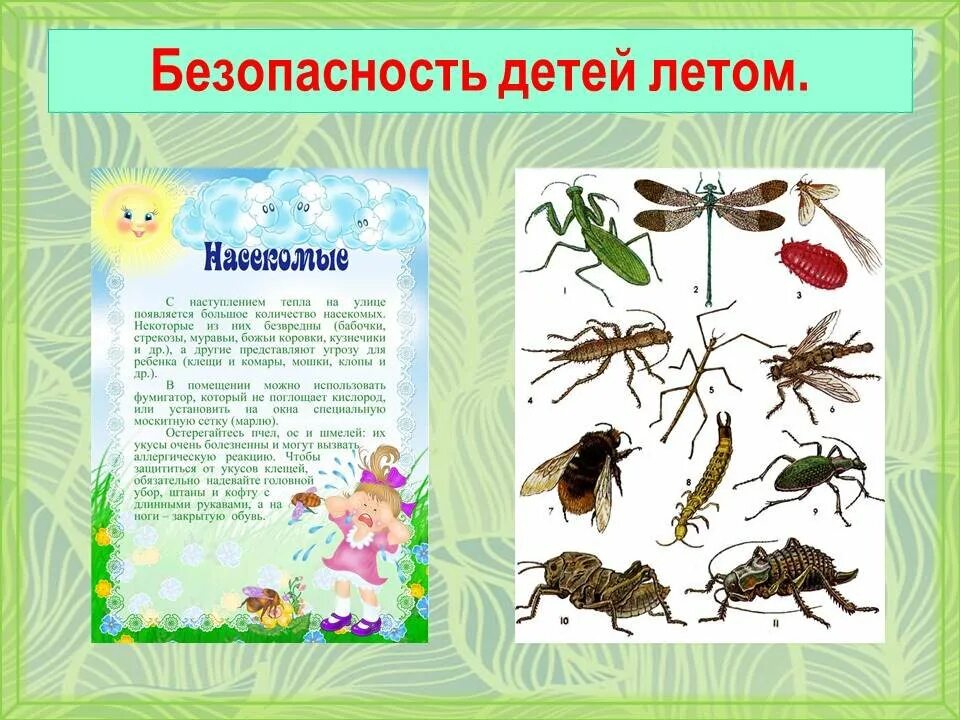 Опасные насекомые презентация. Опасные насекомые для дошкольников. Безопасность летом для дошкольников насекомые. Опасные насекомые для дошкольников. Ядовитые лесные насекомые.