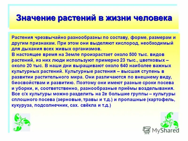 Какие значение имеют зеленые растения. Значение растений в жизни человека. Значение растений в природе и жизни человека. Роль растений в жизни человека. Значение растений в жизни.