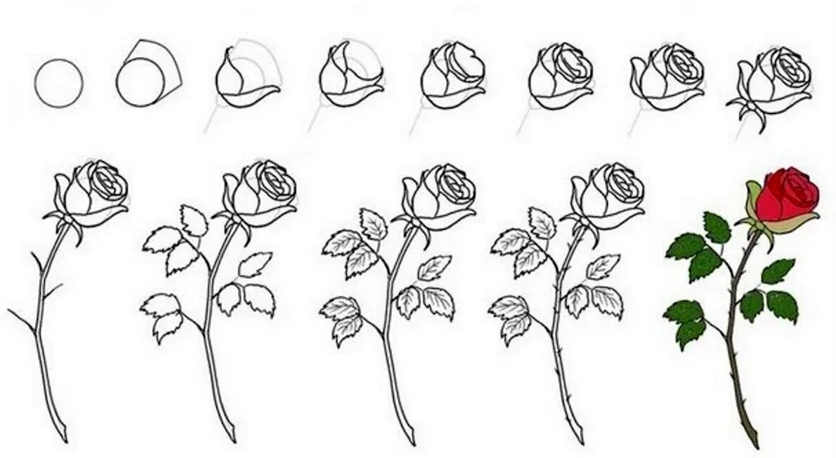 Очень красивые картинки карандашом. Эскизы цветов для рисования. Gul chizish. Красивые цветы для срисовки. Gul chizish.