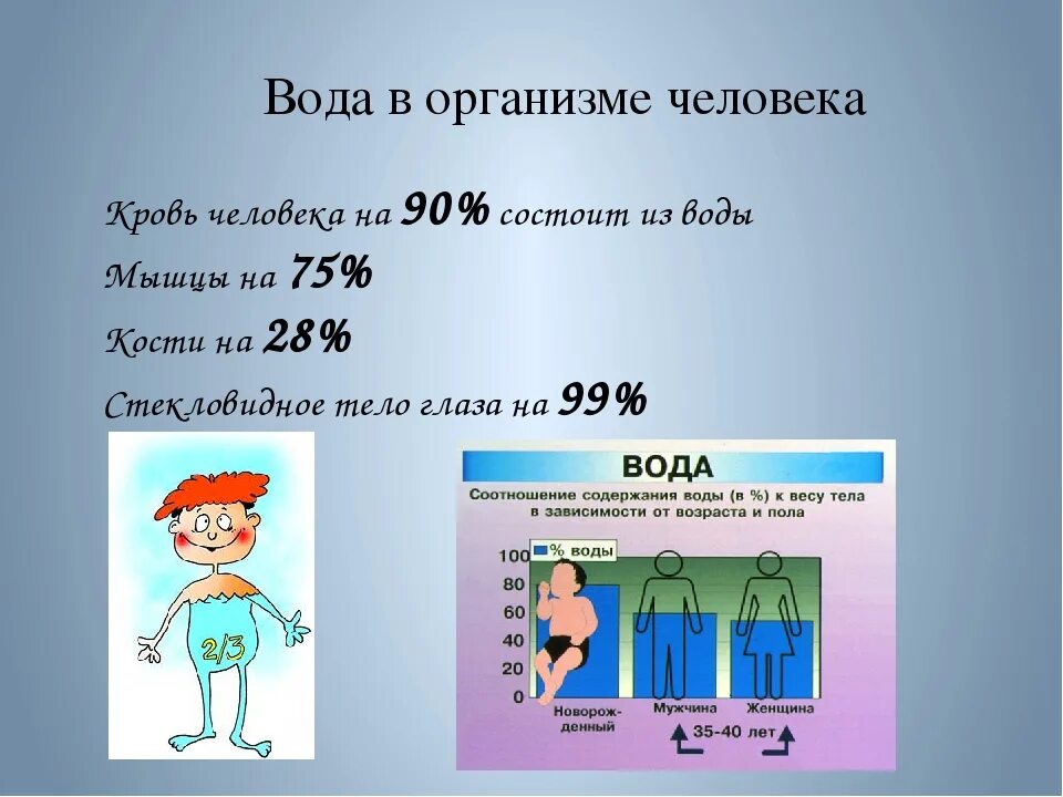 Количество воды не имеет. Сколько кг воды в человеке. Сколько воды в организме человека. Сколько составляет вода в организме человека. Сколько воды в теле человека.