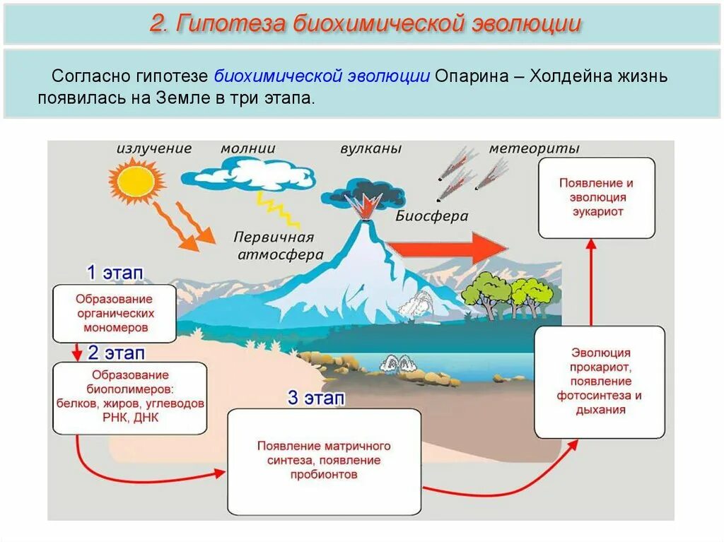 Абиогенный путь возникновения жизни