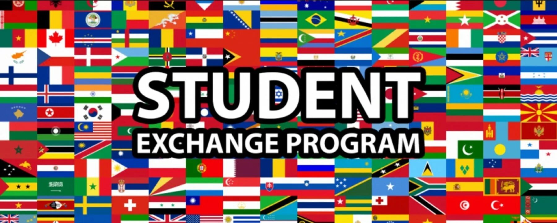 Exchange programme. Student Exchange program. Программы по обмену. Программа обмена студентами. International Exchange student program.