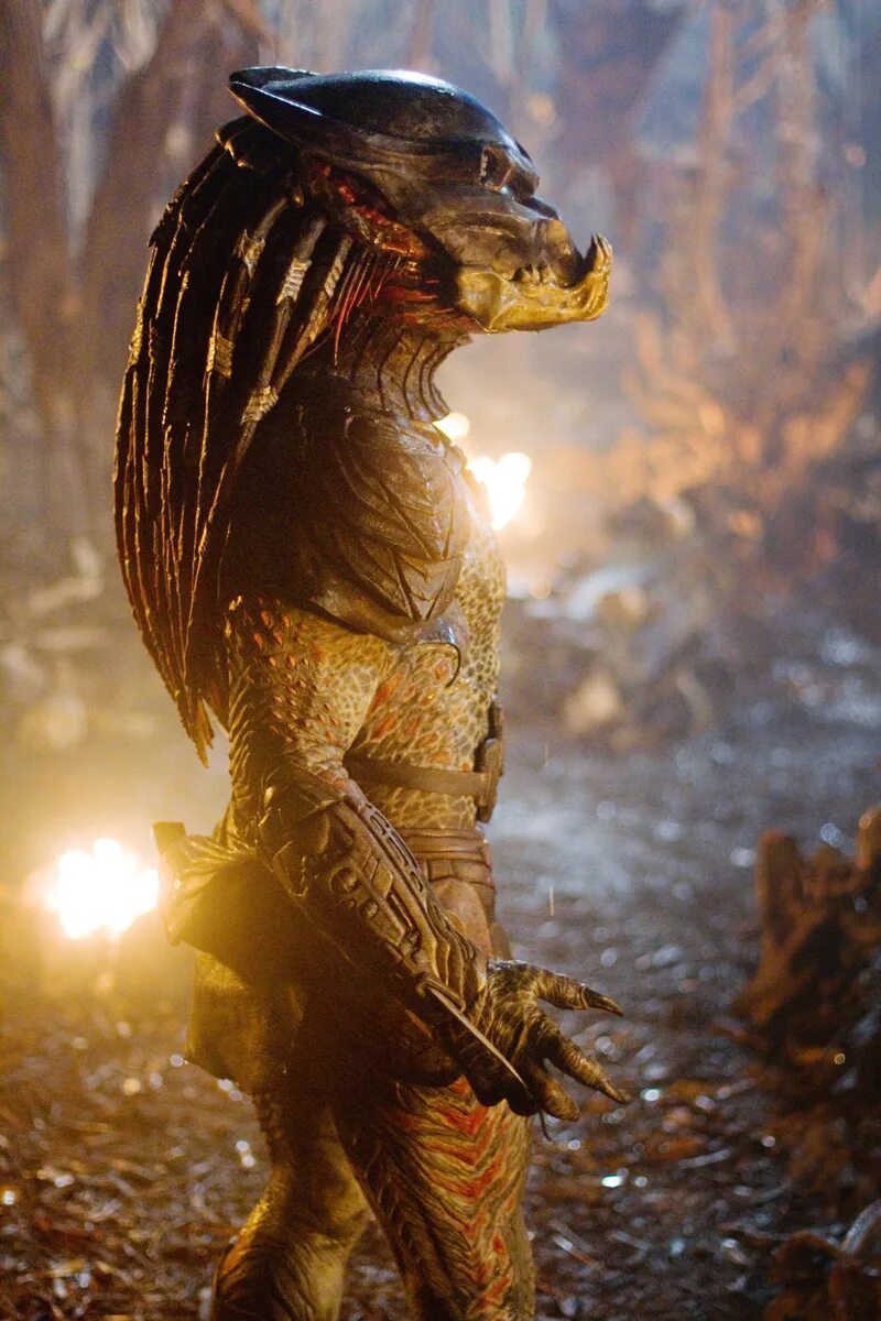 Хищники фильм 2010 адские гончие. Хищник фильм 1987 без маски. Хот тойс хищник скар. Хищники фильм 2010 берсеркер. Яутжа хищник.