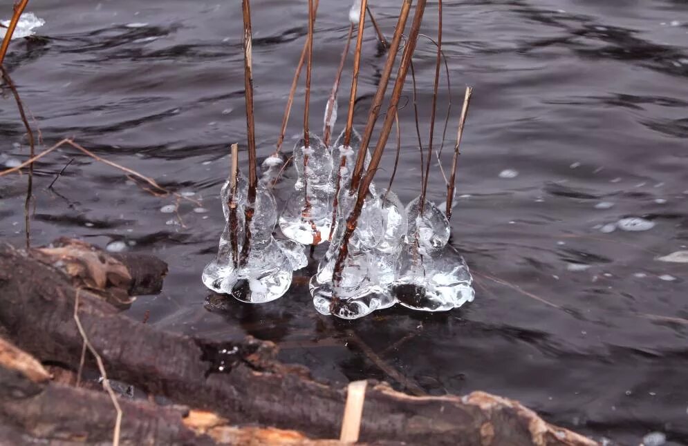 Растаял увидели. Льдинки на реке. Льдинки в воде. Льдинки в ручье. Льдинка тает.