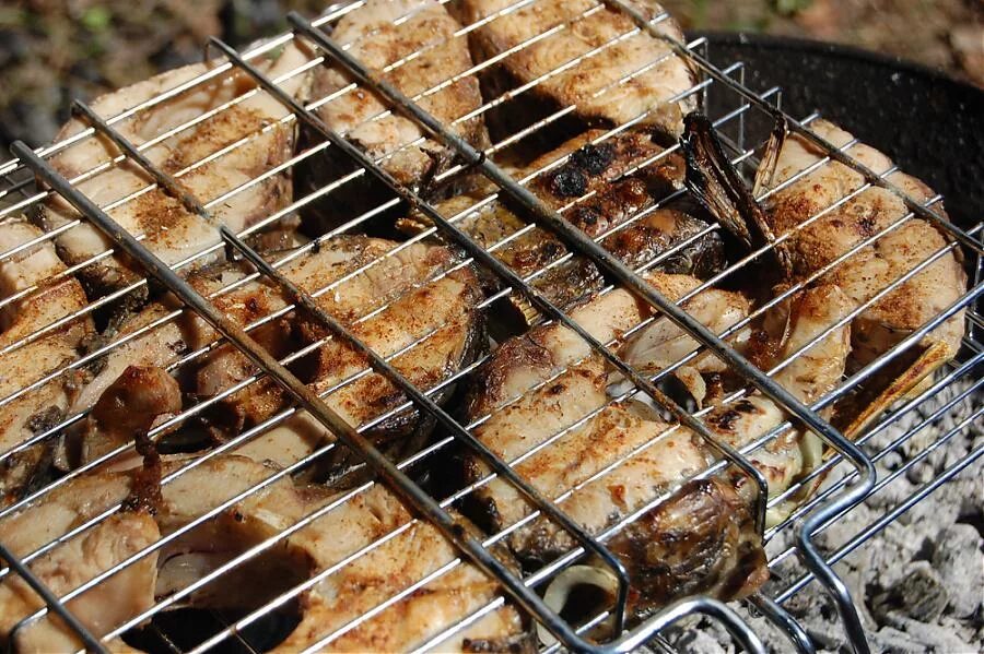 Карп на костре на решетке. Карп на решетке. Рыба форель на мангале на решетке. Карп на костре на решетке. Карп на мангале.
