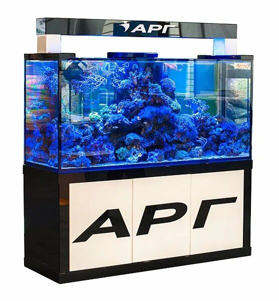Живая вода аквариум. АРГ аквариумы. Аквариум 400л. Морской аквариум 400 литров. Аквариумный инвентарь.