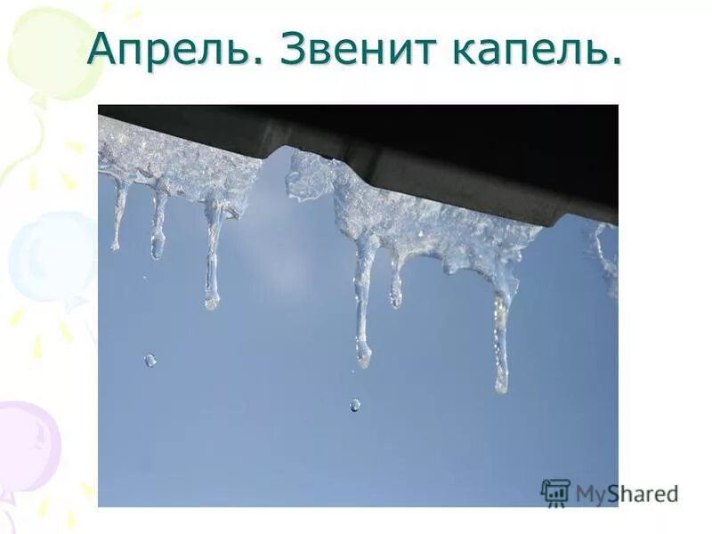 Под звон капели. Звенит капель. Апрель апрель звенит капель. Весенняя капель картинки. Звон капели.