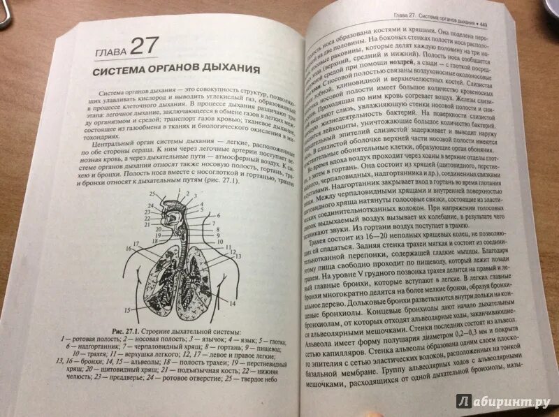 Ярыгин биология для поступающих в вузы. Мустафин а.г. биология. Для выпускников школ и поступающих в вузы. Учебник по биологии Мустафин. Ярыгина пособие для поступающих в вузы по биологии. Читать полностью книги николая ярыгина