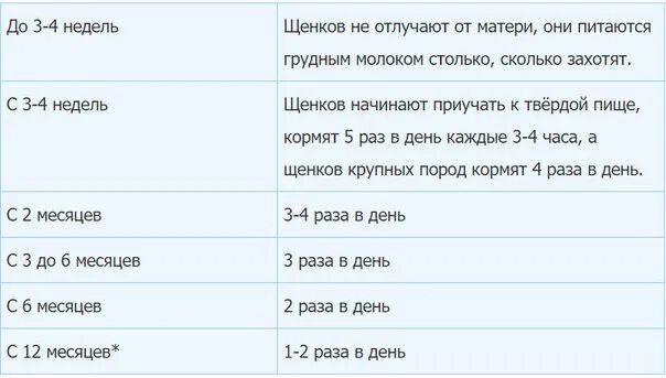 Сколько творога давать щенку. График кормления щенка 2 месяца. График кормления щенка 3 месяца. График кормления щенка 4 месяца. Меню 1 месячного щенка.