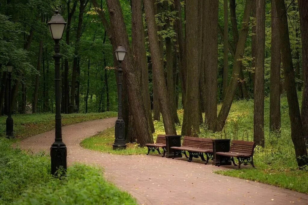 Красивый парк для прогулок. Парк Царицыно аллеи. Царицыно парк лавочки. Лесопарковая зона Дрозды Минск. Царицыно аллея лес.