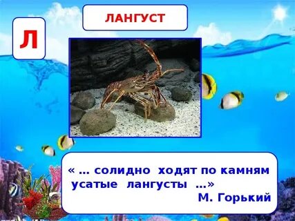 Что увидел евсейка в подводном царстве текст