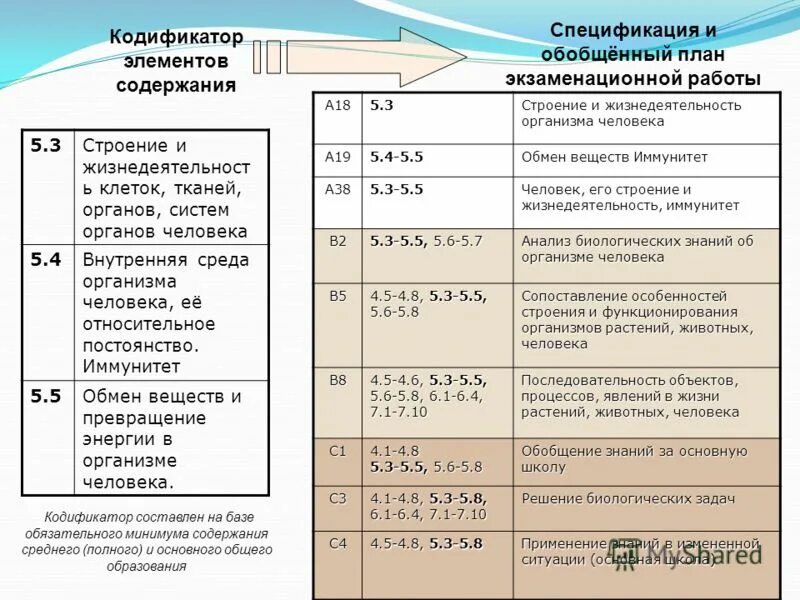 Кодификатор социальная сфера. Социальные отношения кодификатор. Кодификатор номера. Кодификатор огэ. Кодификатор номера.