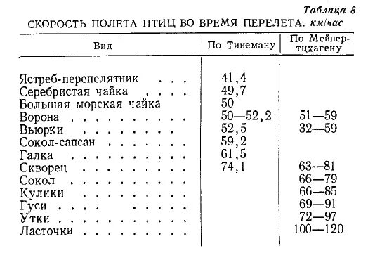 Скорость птиц таблица. Скорость полета птиц. Средняя скорость полета птицы. Максимальная высота полета птиц. Скорость полета гуся