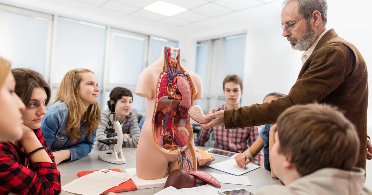 тело человека женщина. анатомия женщины. анатомия женского тела. анатомия женщины. анатомия 3d модель.