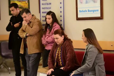 Тв воссоединение