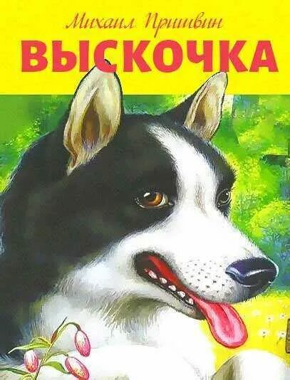 Пришвин выскочка книга. Рассказ выскочка пришвин. Выскочка пришвин собака. Пересказ произведения выскочка