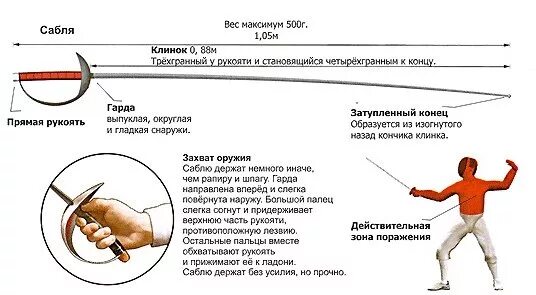 Строение шпаги для фехтования. Сабля Рапира шпага отличия в спорте. Спортивная сабля Рапира шпага отличия. Фехтование Рапира шпага сабля. Рапира характеристики