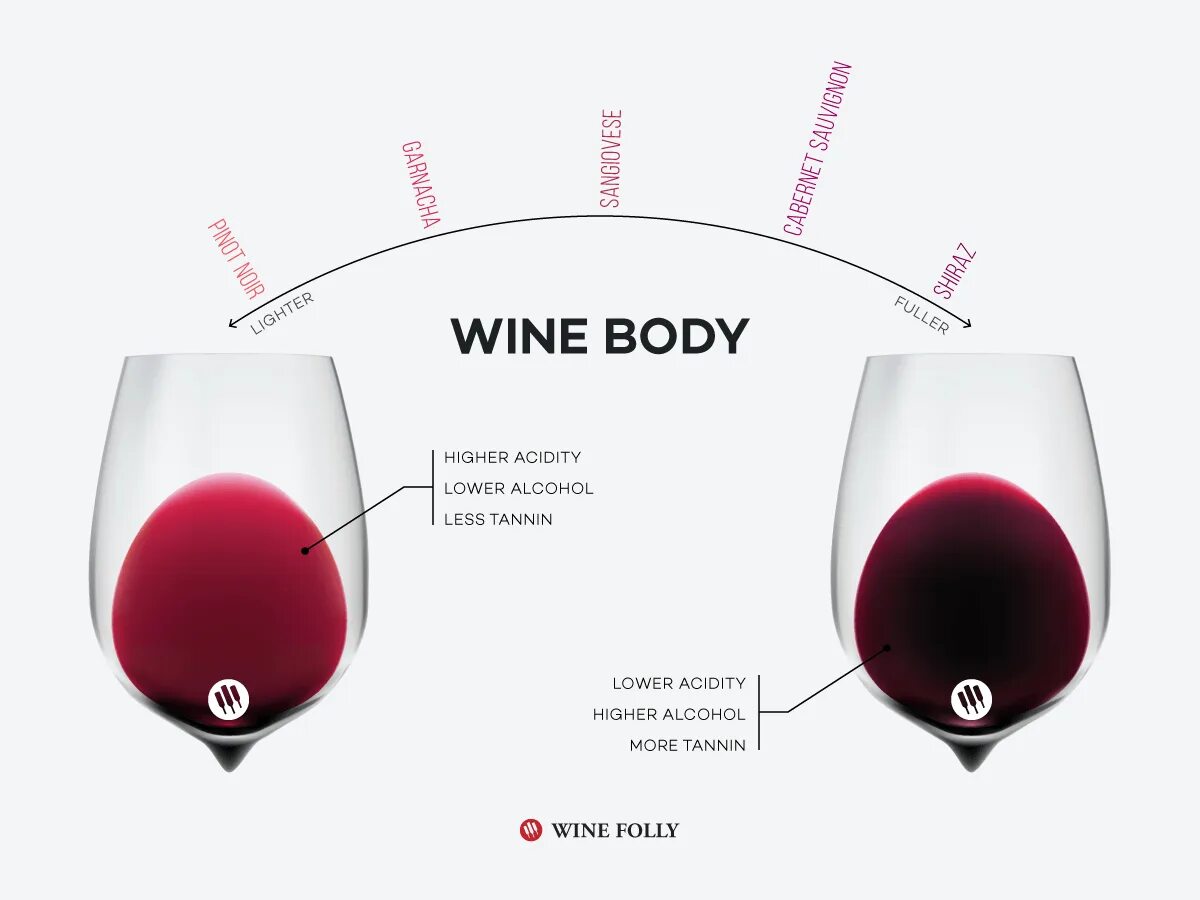 Wine framework. Wine folly: вино. wine body. pinot noir wine folly. пино-нуар winefolly.